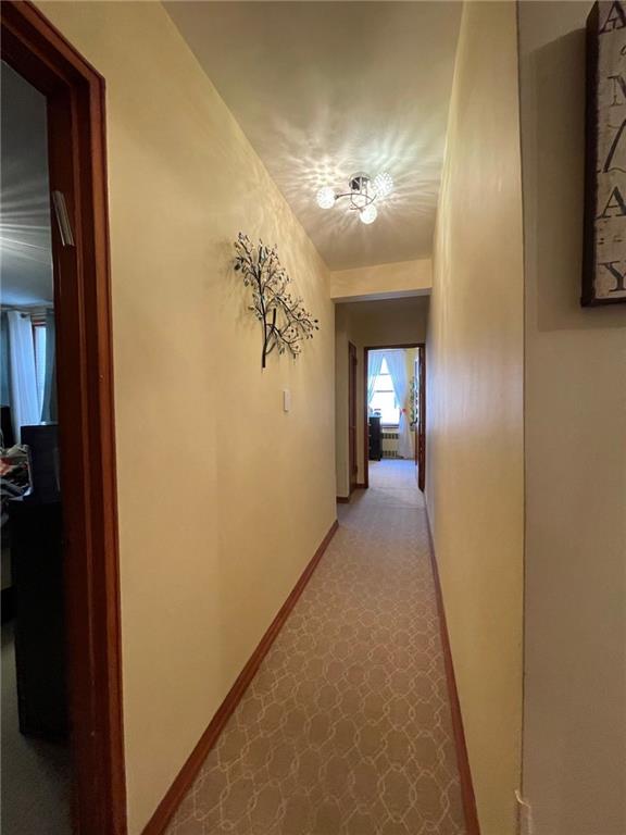 2455 Haring Street Sheepshead Bay Brooklyn NY 11235