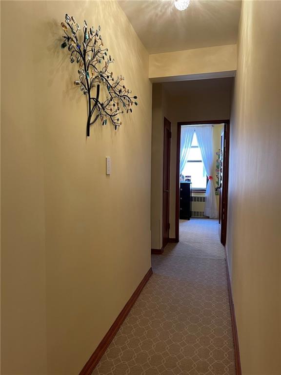 2455 Haring Street Sheepshead Bay Brooklyn NY 11235