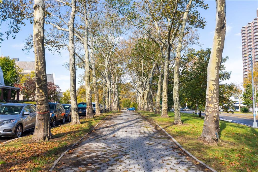 464 67th Street Bay Ridge Brooklyn NY 11220