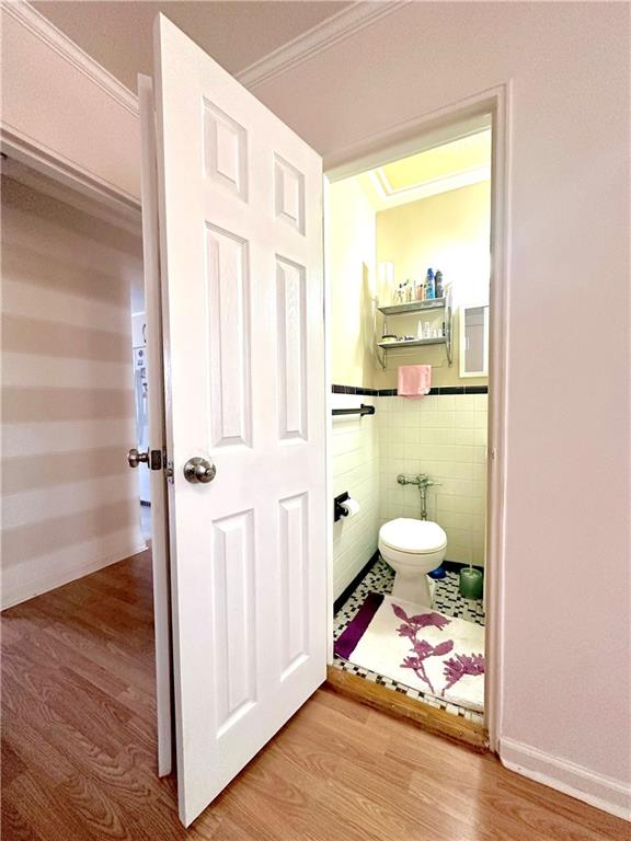 3903 Nostrand Avenue Sheepshead Bay Brooklyn NY 11235