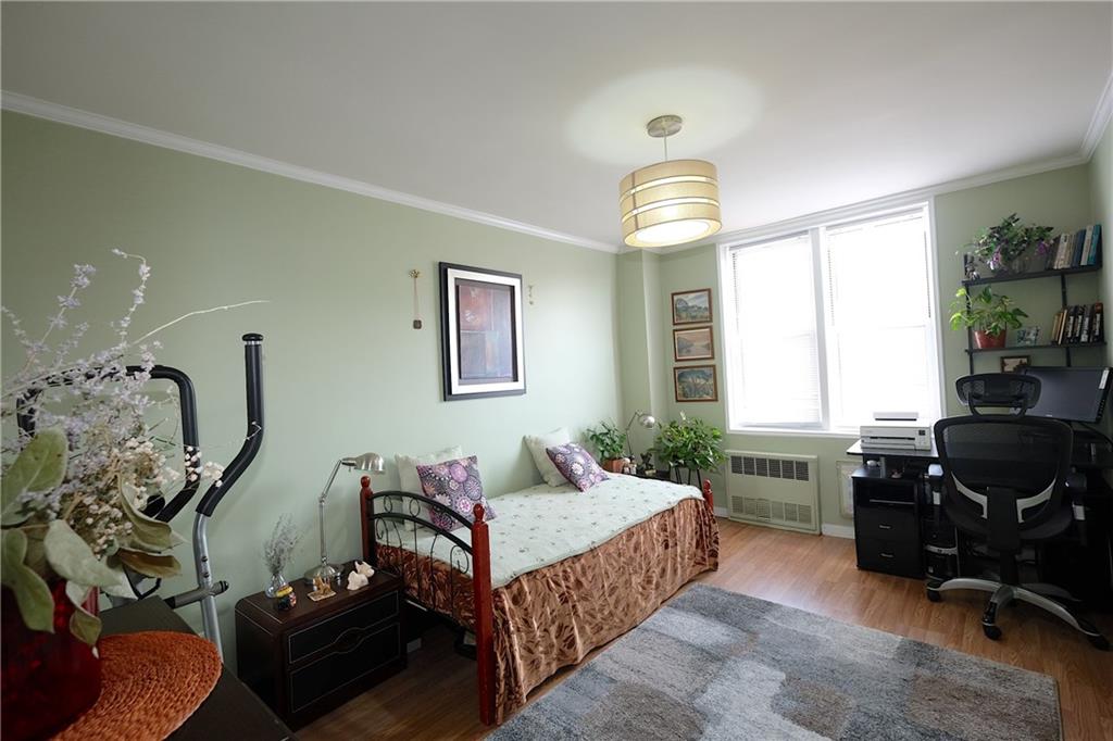 3903 Nostrand Avenue Sheepshead Bay Brooklyn NY 11235