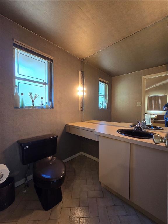 3380 Bedford Avenue Midwood Brooklyn NY 11210