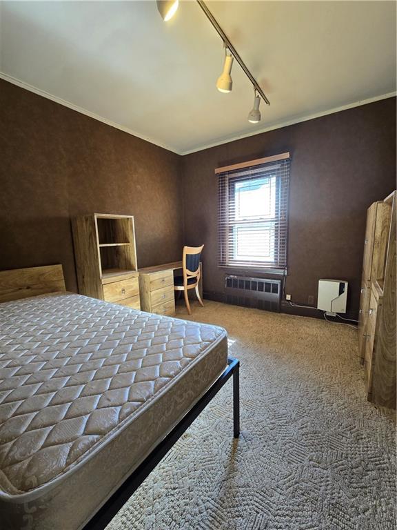 3380 Bedford Avenue Midwood Brooklyn NY 11210