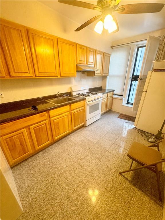 7824 3rd Avenue Bay Ridge Brooklyn NY 11209