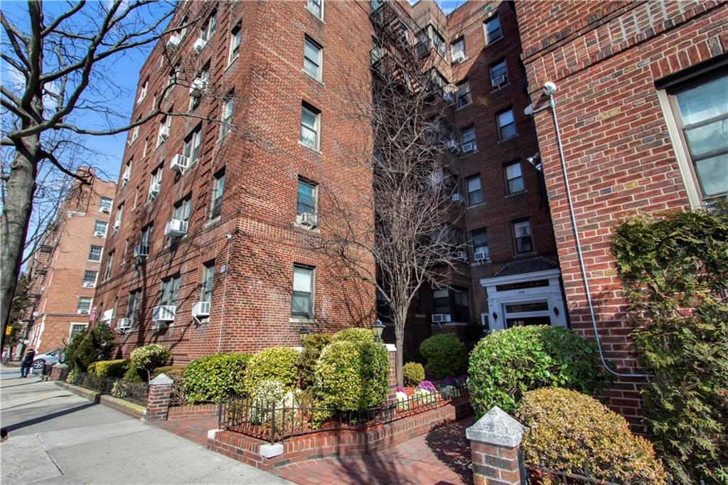 2375 Ocean Avenue Midwood Brooklyn NY 11229