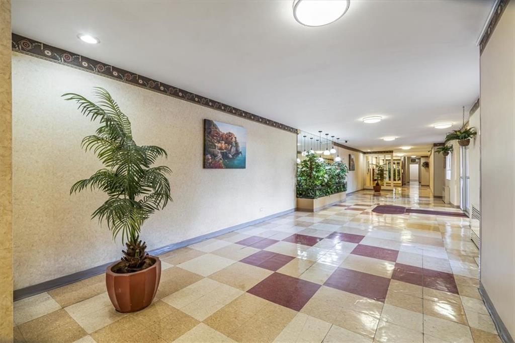 2525 Nostrand Avenue Midwood Brooklyn NY 11210