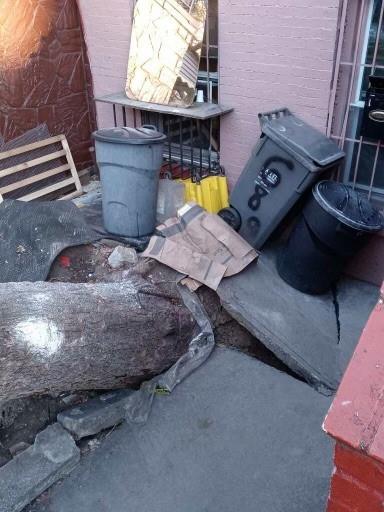 689 Madison Street Bedford Stuyvesant Brooklyn NY 11221