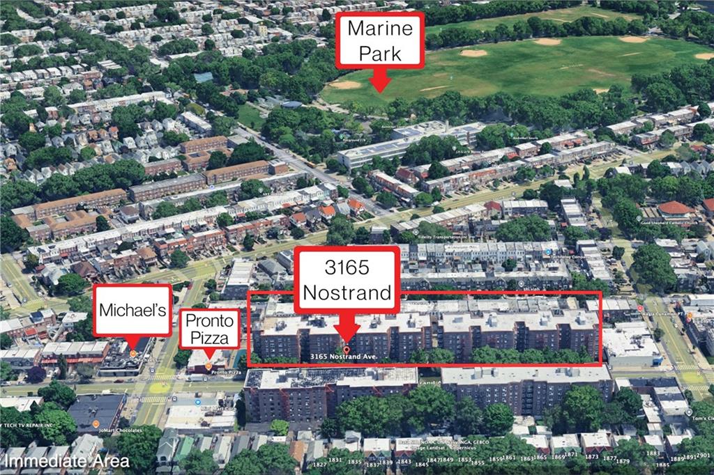3165 Nostrand Avenue Madison Brooklyn NY 11229