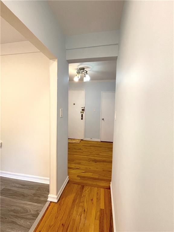 3101 Ocean Parkway Brighton Beach Brooklyn NY 11235