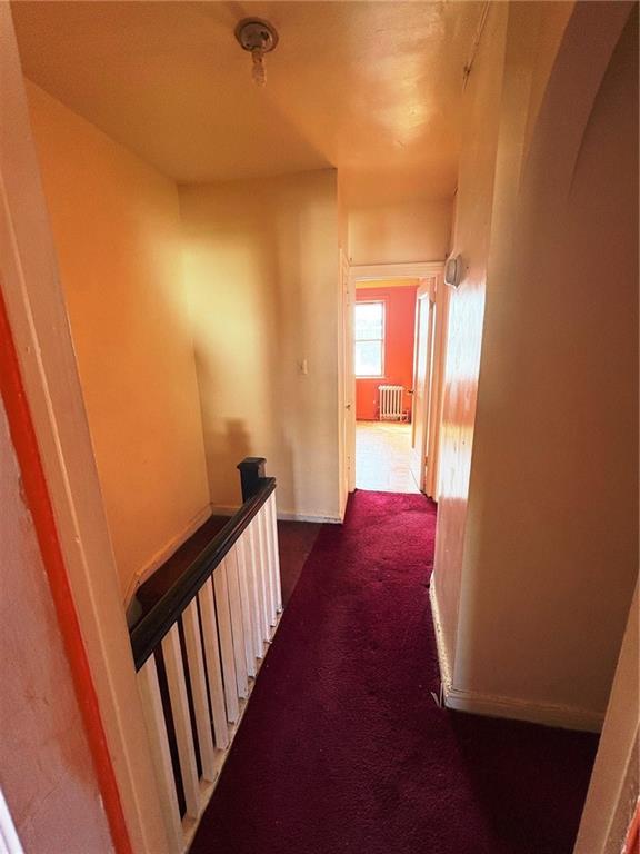 388 Fenimore Street Prospect Lefferts Gdns Brooklyn NY 11225
