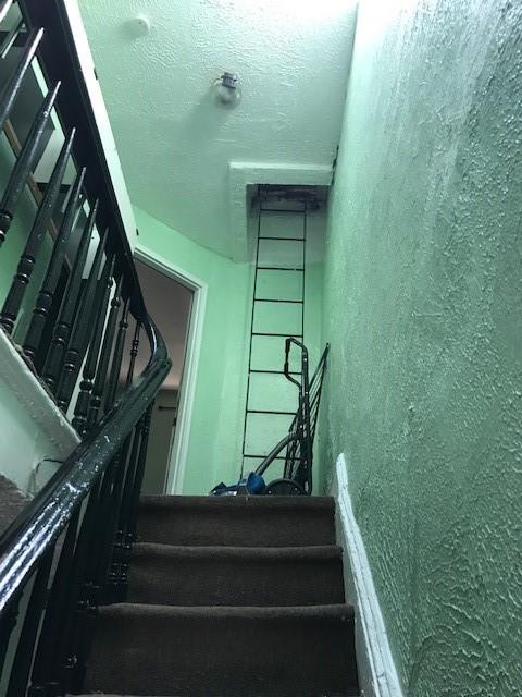 12 Pleasant Place Bedford Stuyvesant Brooklyn NY 11233