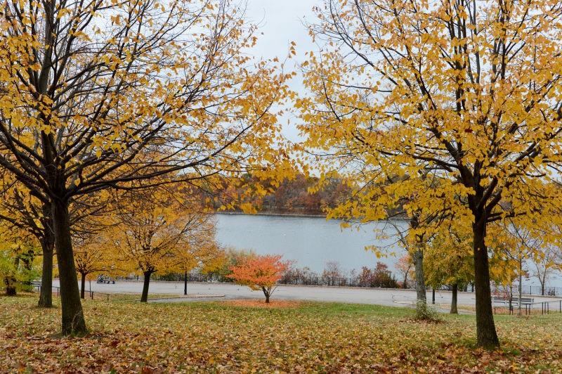 3 Silver Lake Road Tompkinsville Staten Island NY 10301