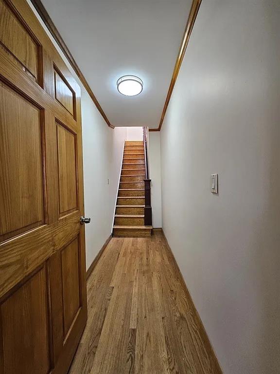 2028 65th Street Bensonhurst Brooklyn NY 11204