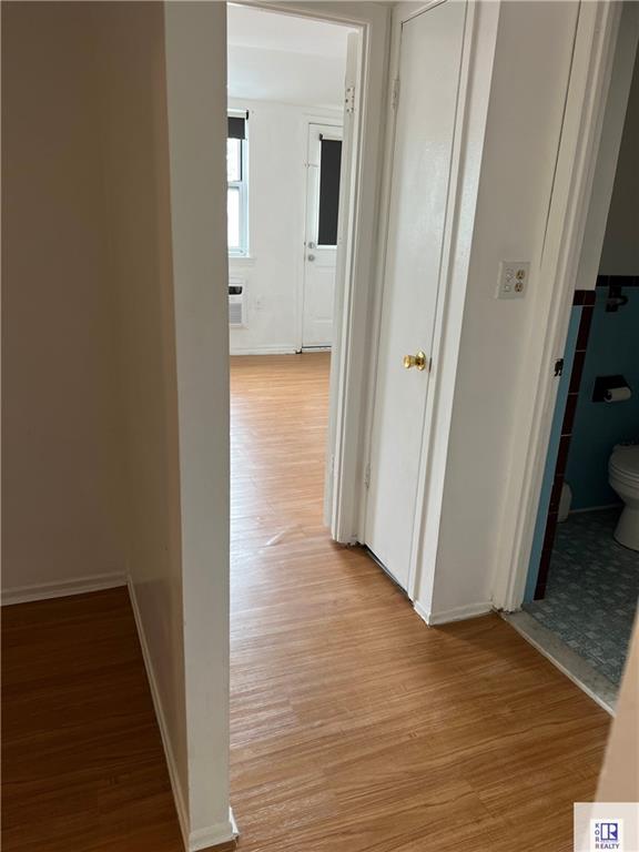 4665 Bedford Avenue Sheepshead Bay Brooklyn NY 11235