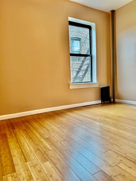 883 East 165th Street Longwood Bronx NY 10459