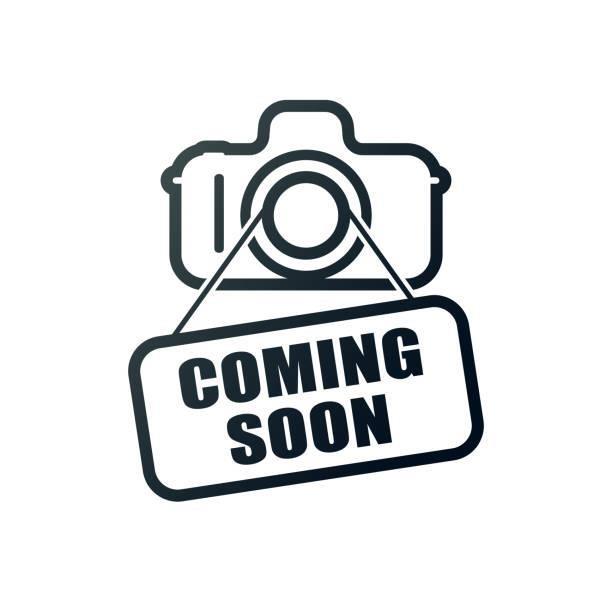 80 Etna Street Cypress Hills Brooklyn NY 11208