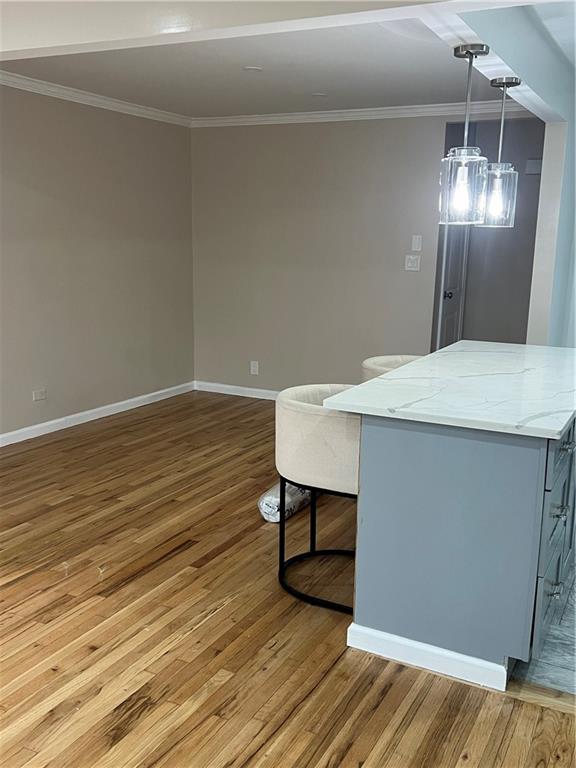 1291 East 92nd Street Canarsie Brooklyn NY 11236