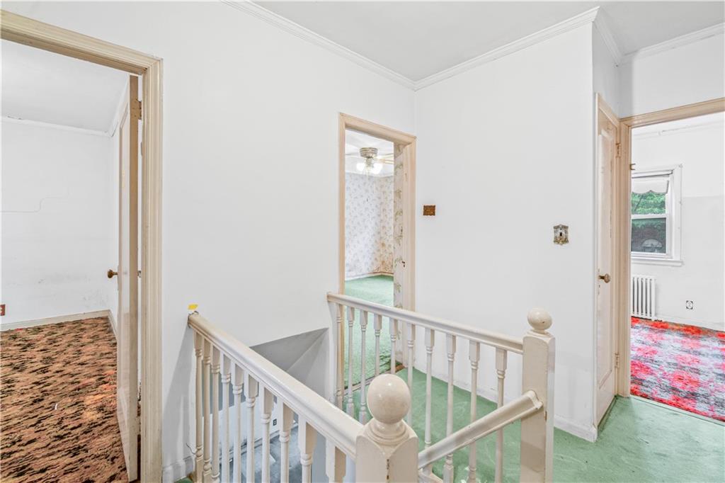 1484 East 16th Street Midwood Brooklyn NY 11230