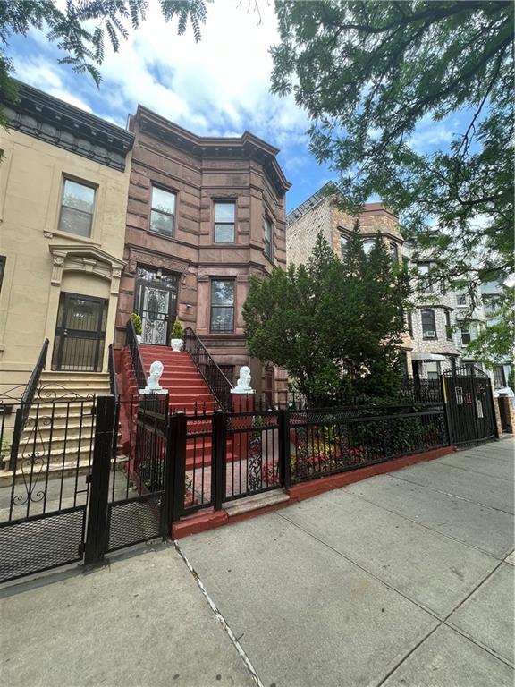 1181 Bushwick Avenue Bushwick Brooklyn NY 11221