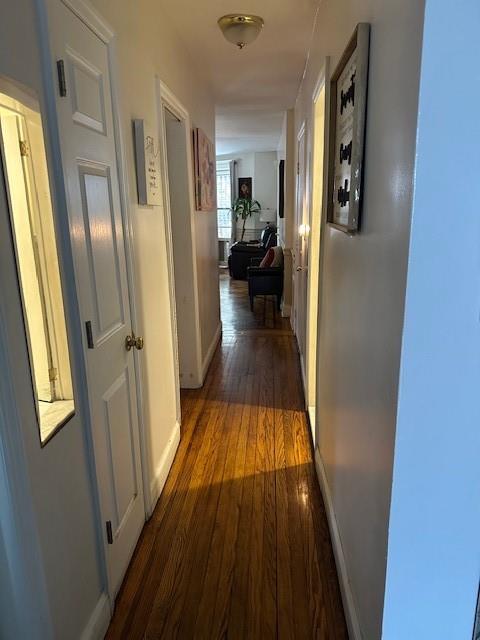 1181 Bushwick Avenue Bushwick Brooklyn NY 11221