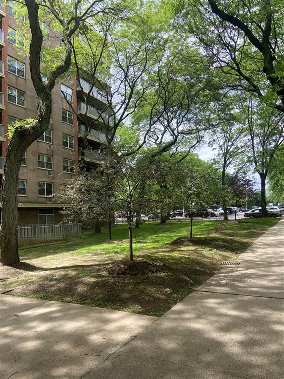 12421 Flatlands Avenue East New York Brooklyn NY 11207
