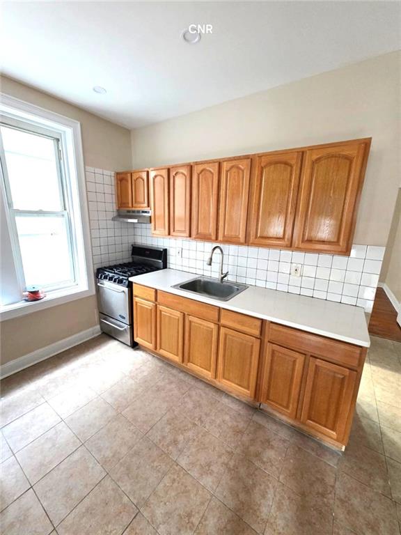 387 East 96th Street East Flatbush Brooklyn NY 11212