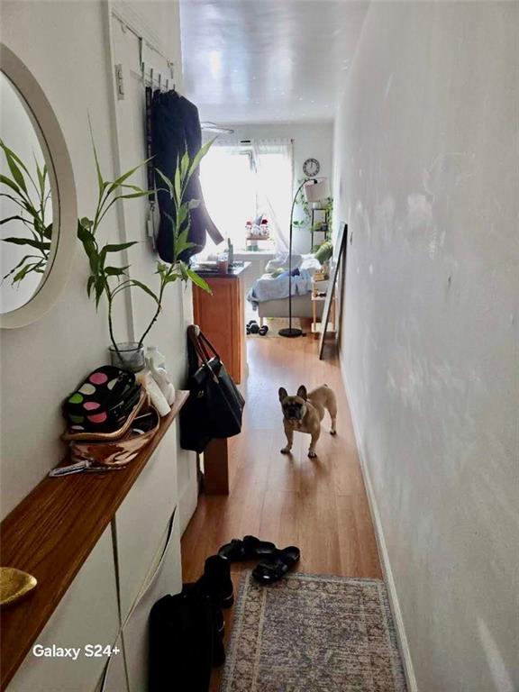 2363 81st Street Bensonhurst Brooklyn NY 11214