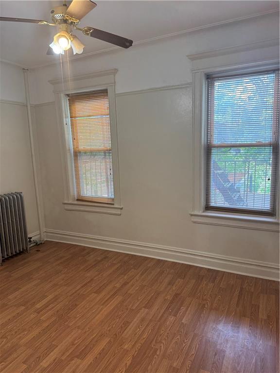 216 Kingston Avenue Crown Heights Brooklyn NY 11213