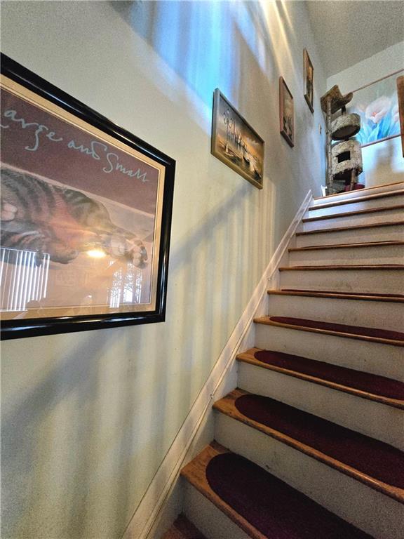 227 Cannon Boulevard New Dorp Staten Island NY 10306