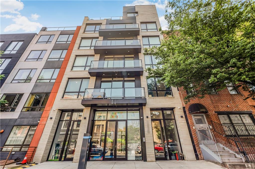 1230 Bedford Avenue Bedford Stuyvesant Brooklyn NY 11216