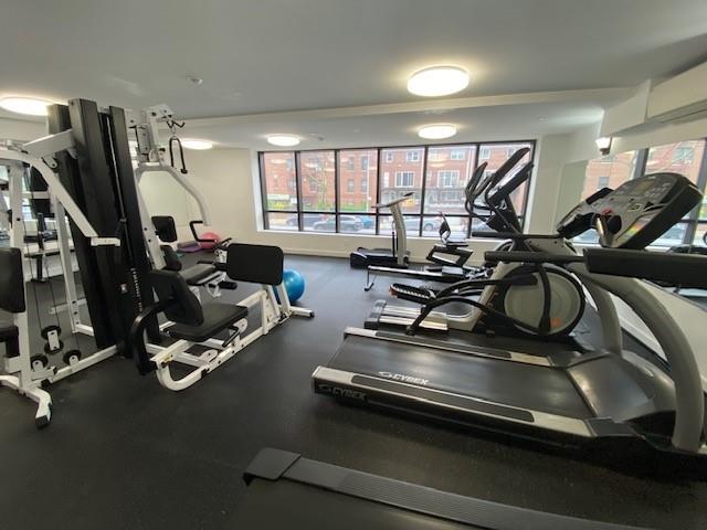 3041 Ocean Avenue Sheepshead Bay Brooklyn NY 11235