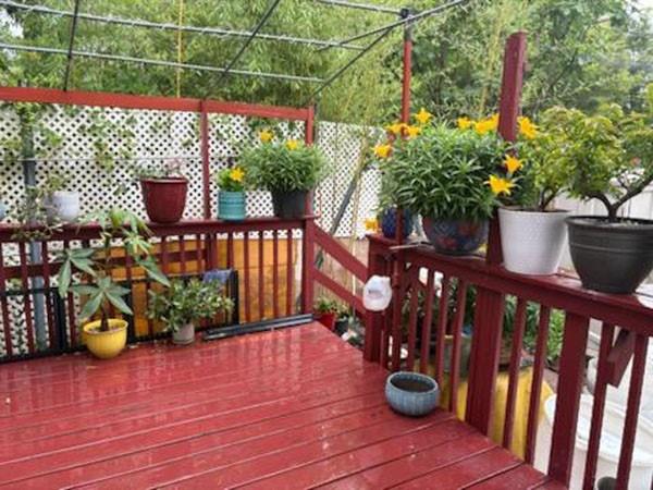 30 Winegar Lane West Brighton Staten Island NY 10310