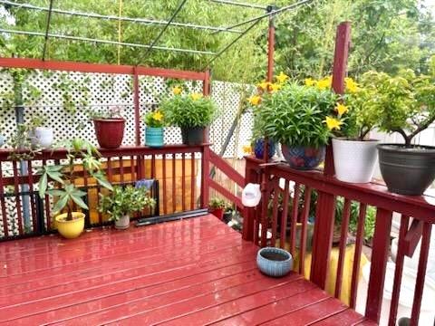 30 Winegar Lane West Brighton Staten Island NY 10310