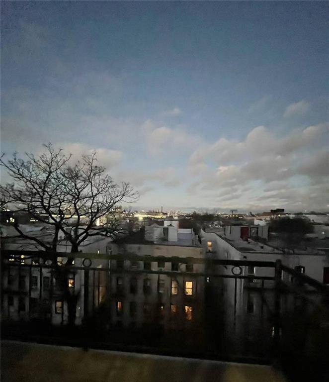 229 55th Street Sunset Park Brooklyn NY 11220