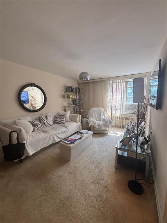 2250 Brigham Street Marine Park Brooklyn NY 11229