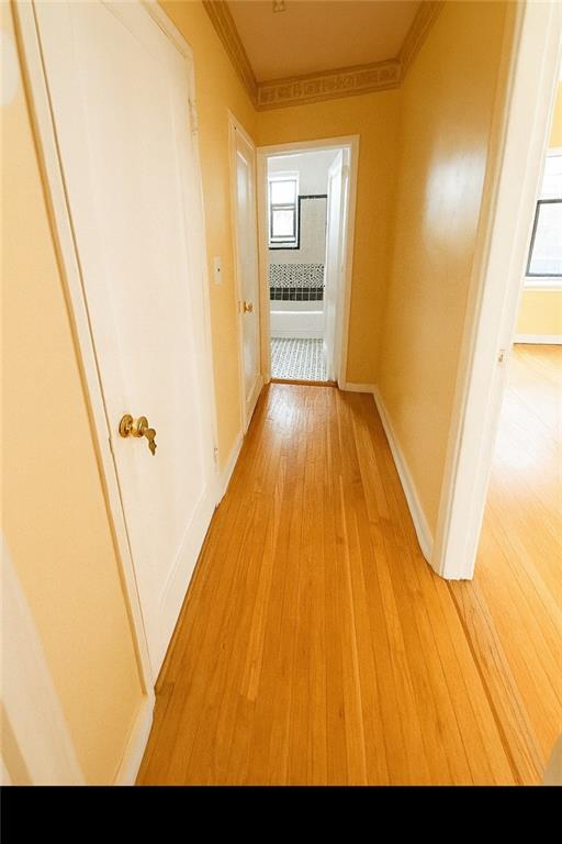 2821 Kings Highway Midwood Brooklyn NY 11229