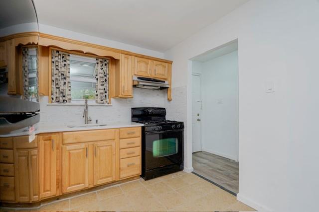 524 Schenck Avenue East New York Brooklyn NY 11207