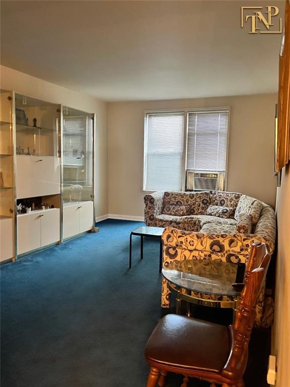 2555 Batchelder Street Sheepshead Bay Brooklyn NY 11235