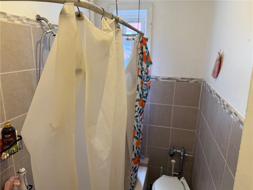 582 Williams Avenue Brownsville Brooklyn NY 11207