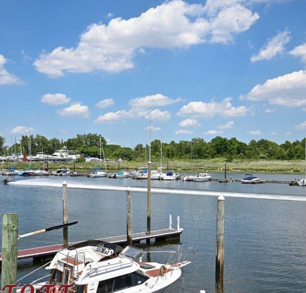 163 Whitman Drive Mill Basin Brooklyn NY 11234