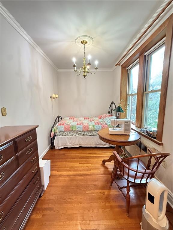 1560 East 18th Street Midwood Brooklyn NY 11230