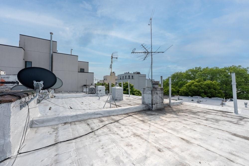 1517 Jefferson Avenue Bushwick Brooklyn NY 11237