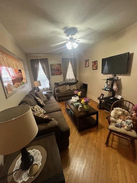 2016 Coyle Street Marine Park Brooklyn NY 11229