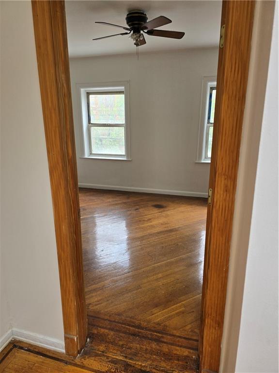 1202 East 38th Street East Flatbush Brooklyn NY 11210