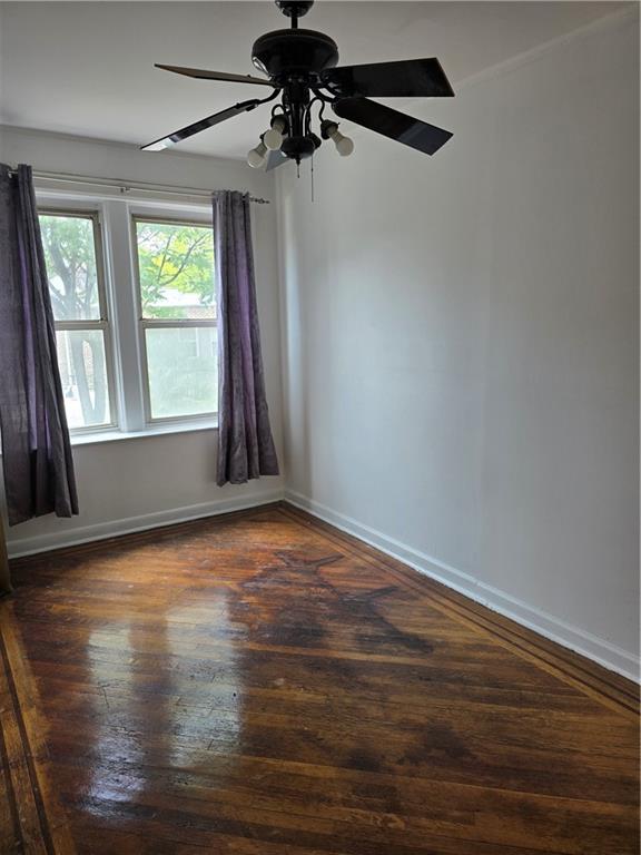 1202 East 38th Street East Flatbush Brooklyn NY 11210