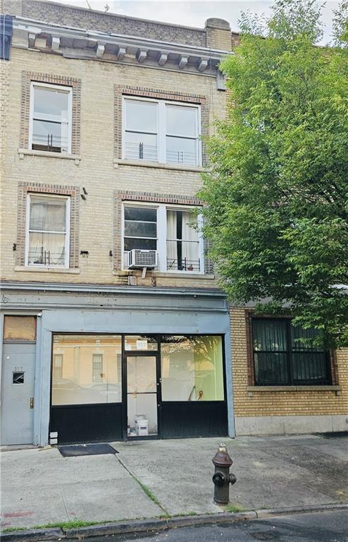 317 Albany Avenue Crown Heights Brooklyn NY 11213