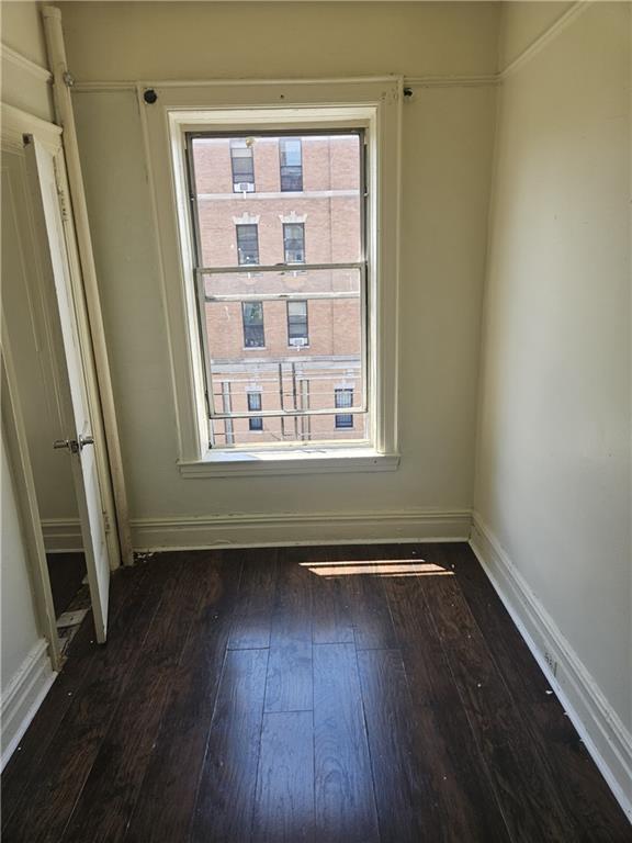 317 Albany Avenue Crown Heights Brooklyn NY 11213