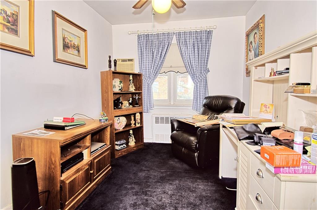 4648 Bedford Avenue Sheepshead Bay Brooklyn NY 11235