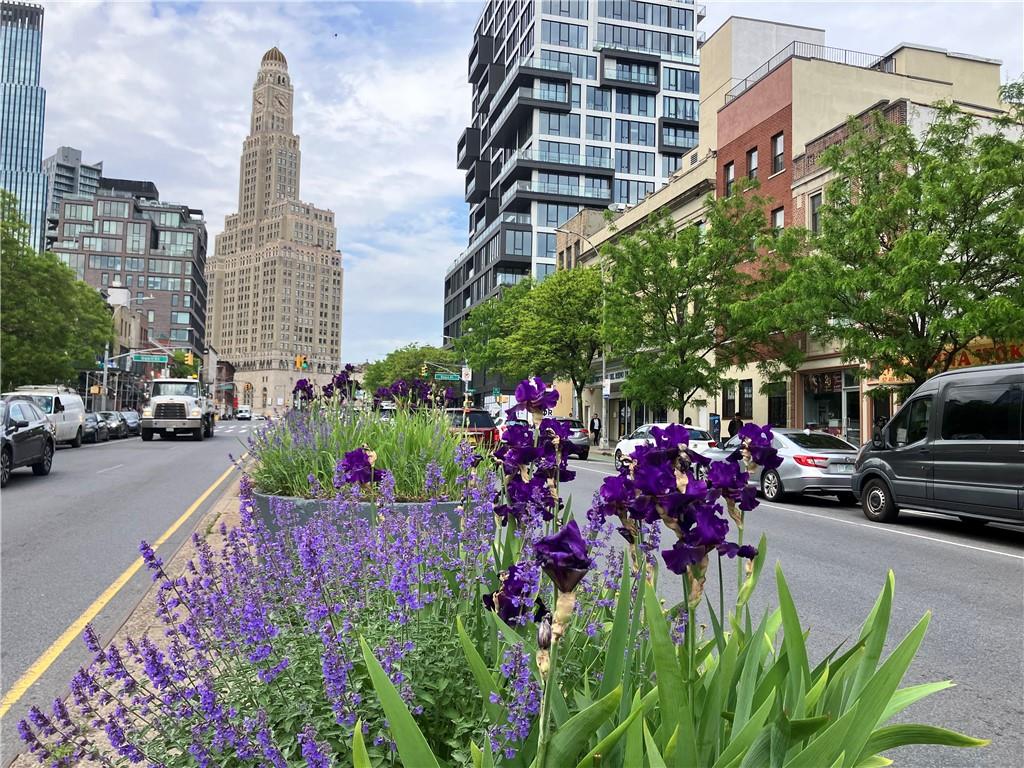 55 4th Avenue Park Slope Brooklyn NY 11217