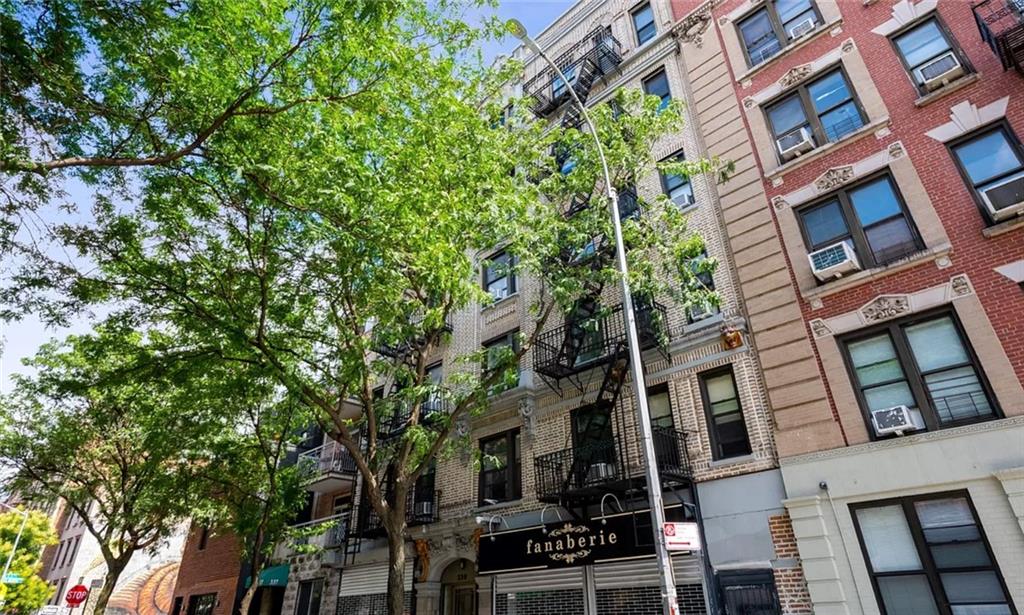 339 Bedford Avenue Williamsburg Brooklyn NY 11211